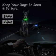 LED Light-Up Dog Collar – Blinking Safety Collar for Night Walks