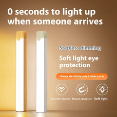 Motion Sensor Magnetic Night Light