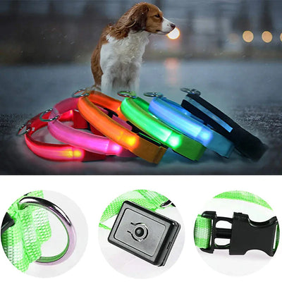LED Light-Up Dog Collar – Blinking Safety Collar for Night Walks