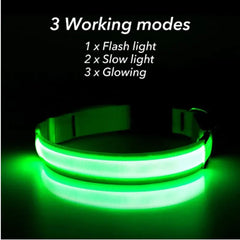 LED Light-Up Dog Collar – Blinking Safety Collar for Night Walks