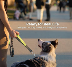 Dog Walking Belt with Detachable Leash