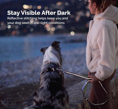 Dog Walking Belt with Detachable Leash