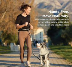 Dog Walking Belt with Detachable Leash