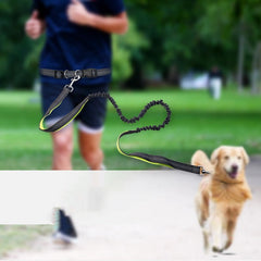 Dog Walking Belt with Detachable Leash