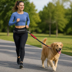 Dog Walking Belt with Detachable Leash