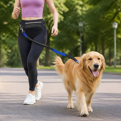 Dog Walking Belt with Detachable Leash