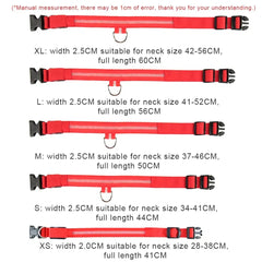 LED Light-Up Dog Collar – Blinking Safety Collar for Night Walks